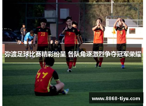 弥渡足球比赛精彩纷呈 各队角逐激烈争夺冠军荣耀