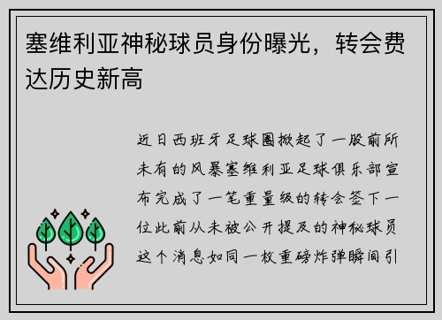 塞维利亚神秘球员身份曝光，转会费达历史新高