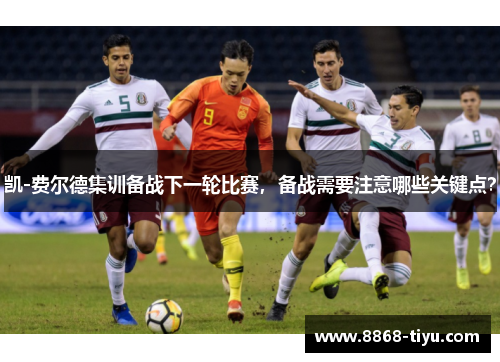 凯-费尔德集训备战下一轮比赛，备战需要注意哪些关键点？